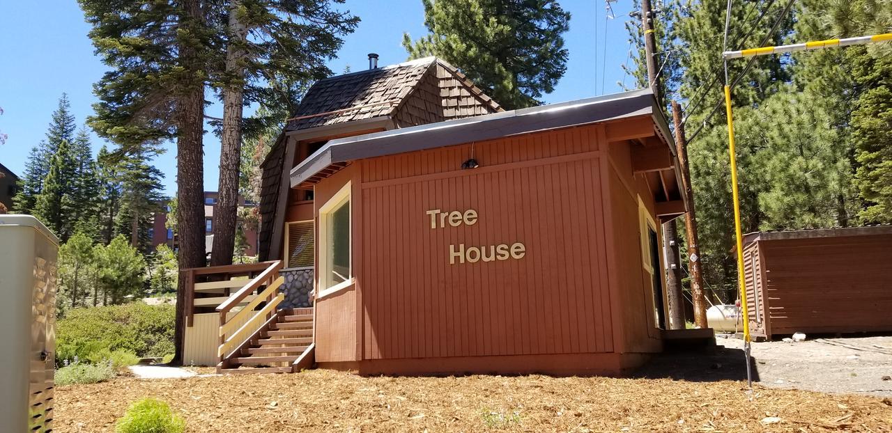 Tree House- Walk To Mammoth Village ماموث لاكيس المظهر الخارجي الصورة